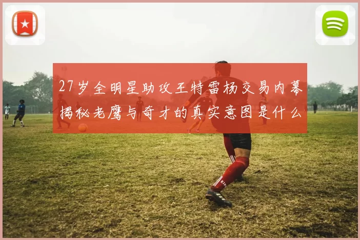 27岁全明星助攻王特雷杨交易内幕揭秘老鹰与奇才的真实意图是什么