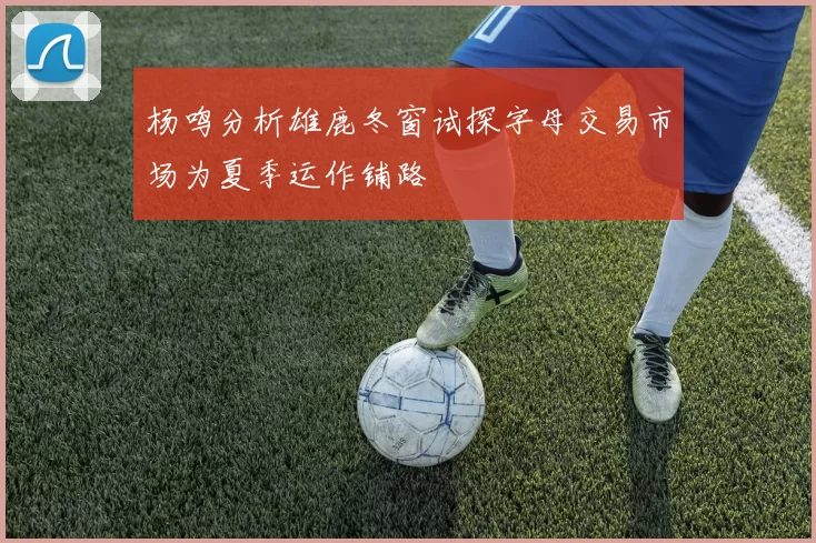 杨鸣分析雄鹿冬窗试探字母交易市场为夏季运作铺路